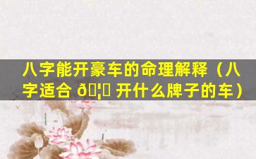 八字能开豪车的命理解释（八字适合 🦄 开什么牌子的车）
